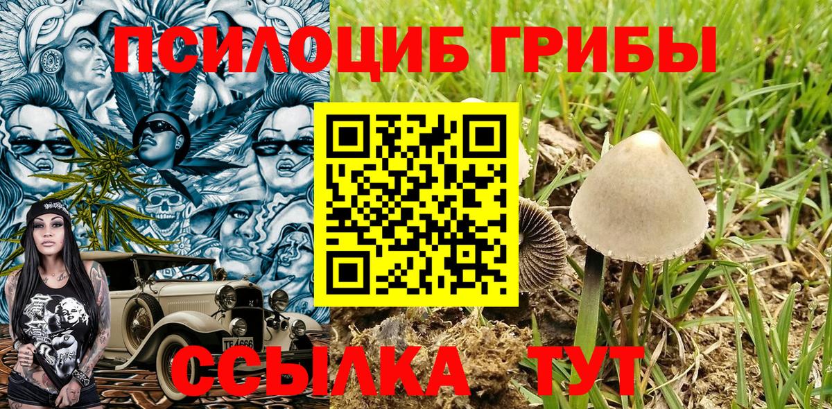 Псилоцибиновые грибы ЛСД Сегежа